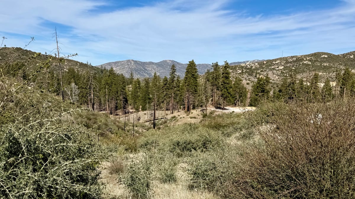 W6/CT-201: Vetter Mountain (the Hard Way)