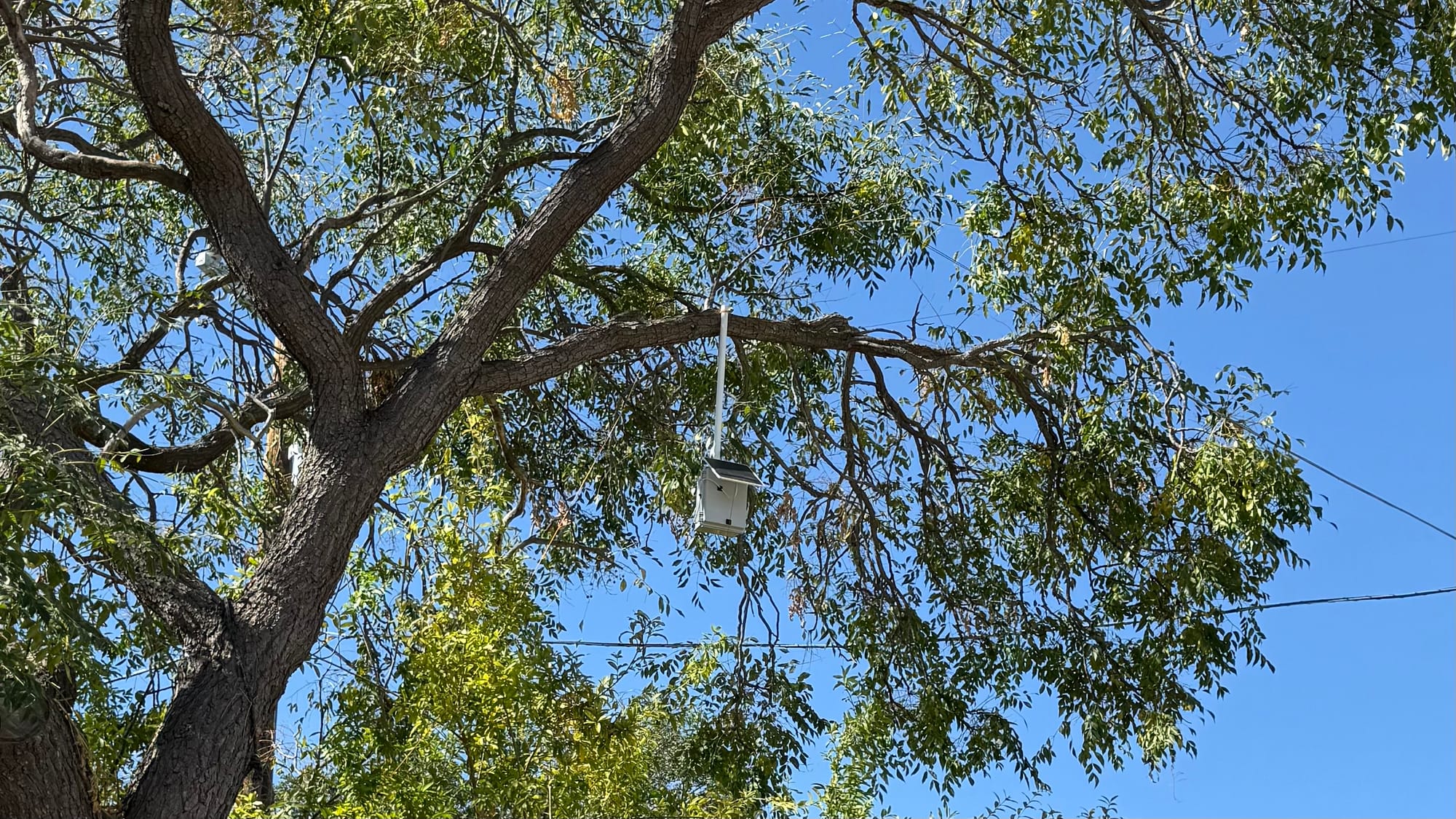 Meshtastic: Down the Rabbit Hole, and a Repeater in a Tree. Is it worth the hype, or the fuss?