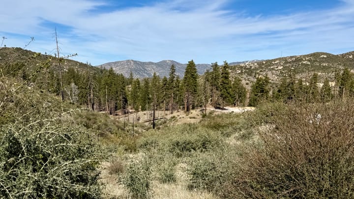 W6/CT-201: Vetter Mountain (the Hard Way)